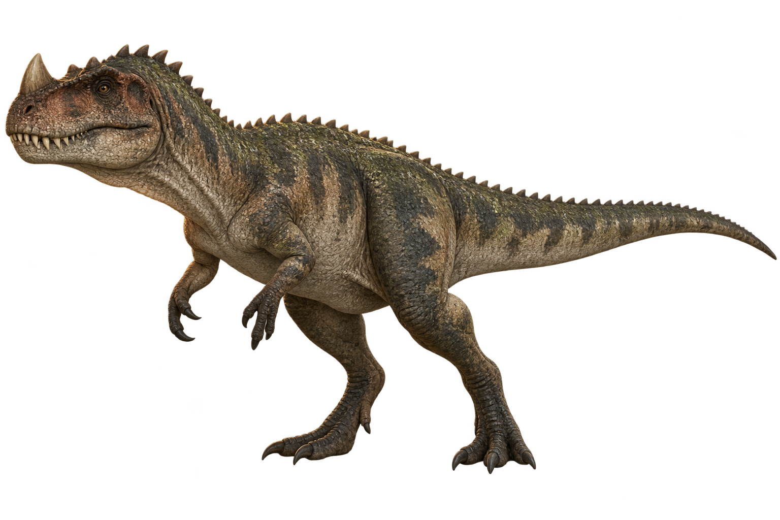 ديناصور Ceratosaurus بلون أثر الرماد